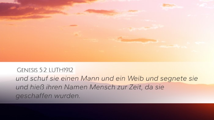Genesis 5:2 LUTH1912 Desktop Wallpaper - und schuf sie einen Mann und ein Weib und segnete - Desktop Bible Verse Wallpaper