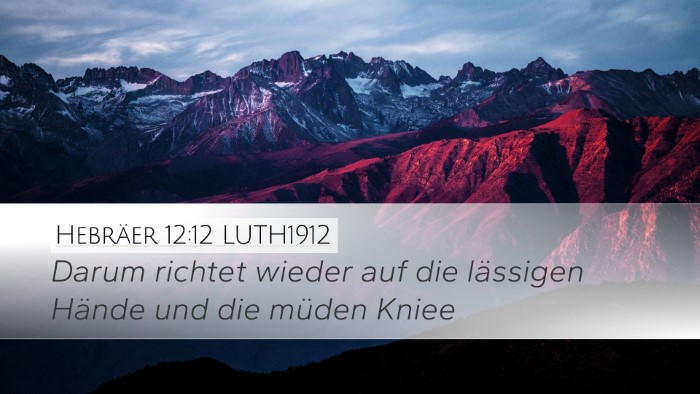 Hebräer 12:12 LUTH1912 Bible Verse Image