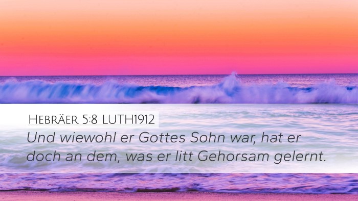 Hebräer 5:8 LUTH1912 Bible Verse Image