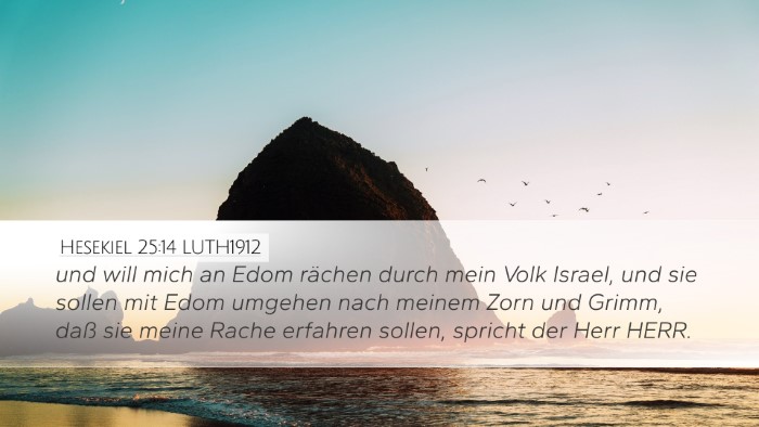 Hesekiel 25:14 LUTH1912 Bible Verse Image