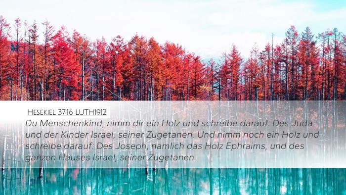 Hesekiel 37:16 LUTH1912 Bible Verse Image