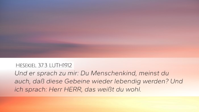 Hesekiel 37:3 LUTH1912 Bible Verse Image