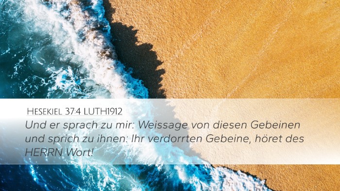 Hesekiel 37:4 LUTH1912 Bible Verse Image