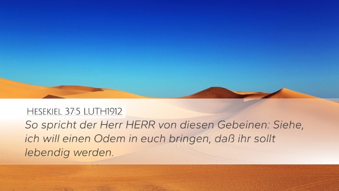 Hesekiel 37:5 LUTH1912 Bible Verse Image