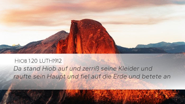 Hiob 1:20 LUTH1912 Bible Verse Image