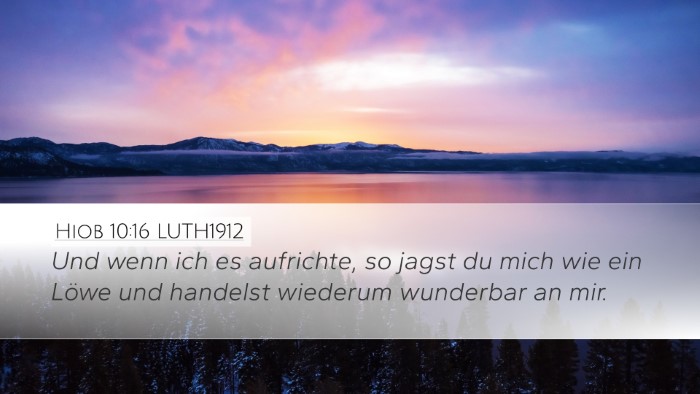 Hiob 10:16 LUTH1912 Bible Verse Image