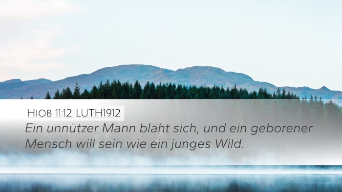 Hiob 11:12 LUTH1912 Bible Verse Image