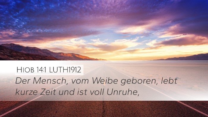 Hiob 14:1 LUTH1912 Bible Verse Image