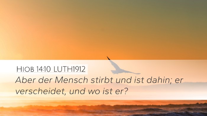 Hiob 14:10 LUTH1912 Bible Verse Image