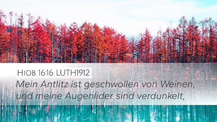 Hiob 16:16 LUTH1912 Bible Verse Image