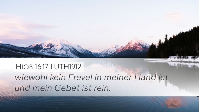 Hiob 16:17 LUTH1912 Bible Verse Image