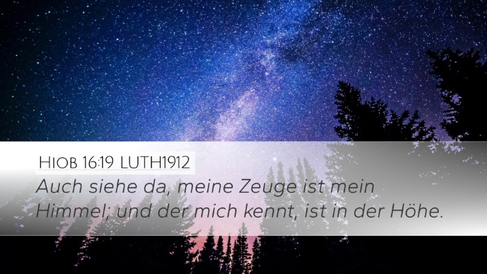 Hiob 16:19 LUTH1912 Bible Verse Image