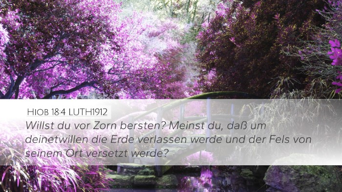 Hiob 18:4 LUTH1912 Bible Verse Image