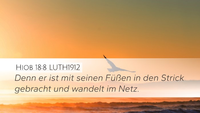 Hiob 18:8 LUTH1912 Bible Verse Image