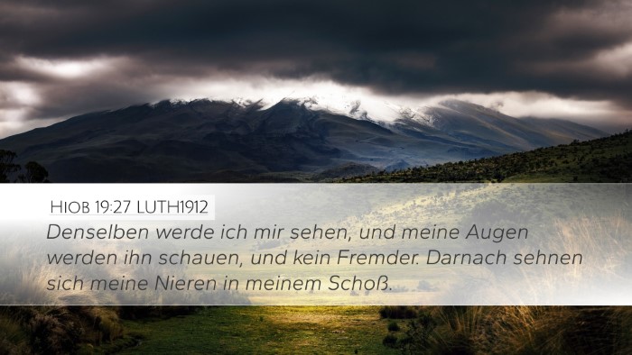 Hiob 19:27 LUTH1912 Bible Verse Image