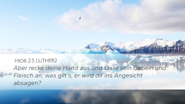 Hiob 2:5 LUTH1912 Bible Verse Image