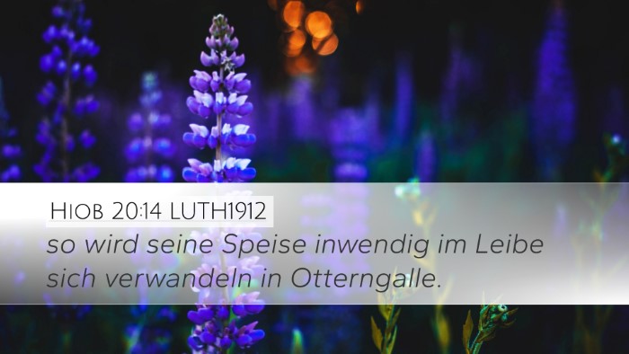 Hiob 20:14 LUTH1912 Bible Verse Image