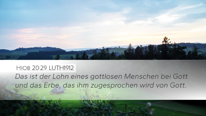 Hiob 20:29 LUTH1912 Bible Verse Image