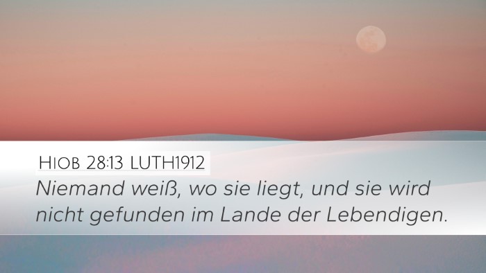 Hiob 28:13 LUTH1912 Bible Verse Image
