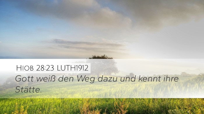 Hiob 28:23 LUTH1912 Bible Verse Image