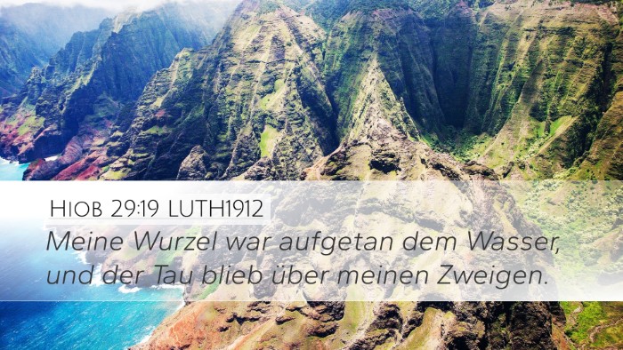 Hiob 29:19 LUTH1912 Bible Verse Image