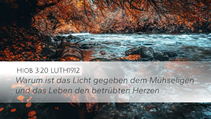Hiob 3:20 LUTH1912 Bible Verse Image