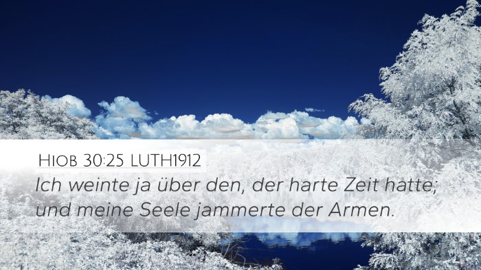 Hiob 30:25 LUTH1912 Bible Verse Image