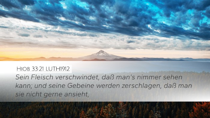 Hiob 33:21 LUTH1912 Bible Verse Image