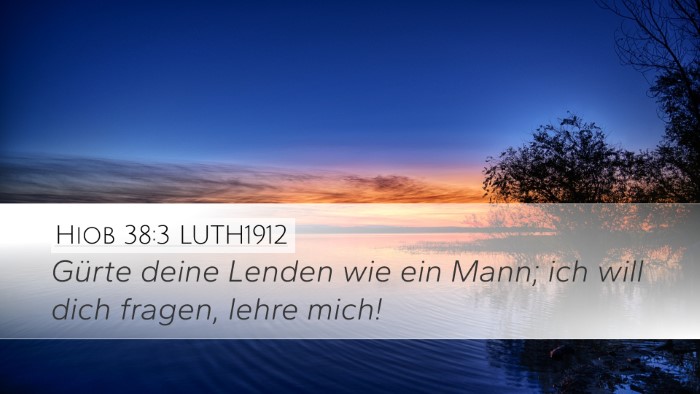 Hiob 38:3 LUTH1912 Bible Verse Image