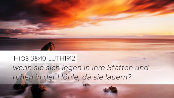 Hiob 38:40 LUTH1912 Desktop Wallpaper - wenn sie sich legen in ihre Stätten und ruhen in - Desktop Bible Verse Wallpaper