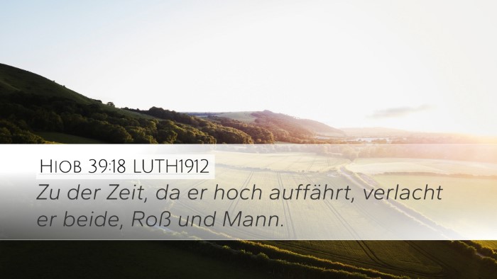 Hiob 39:18 LUTH1912 Bible Verse Image