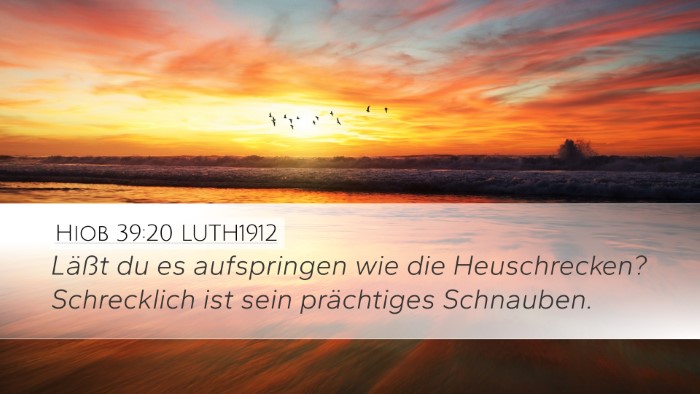 Hiob 39:20 LUTH1912 Desktop Wallpaper - Läßt du es aufspringen wie die Heuschrecken? - Desktop Bible Verse Wallpaper