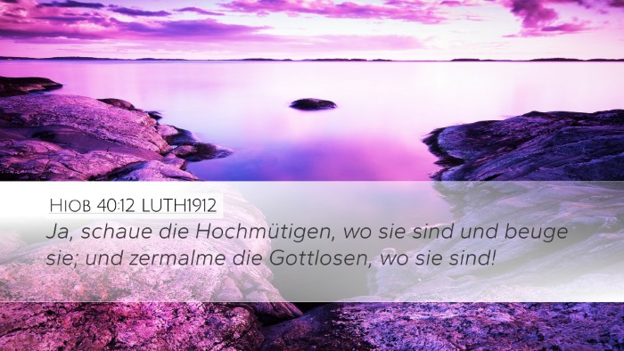 Hiob 40:12 LUTH1912 Bible Verse Image