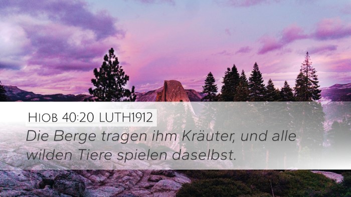 Hiob 40:20 LUTH1912 Bible Verse Image