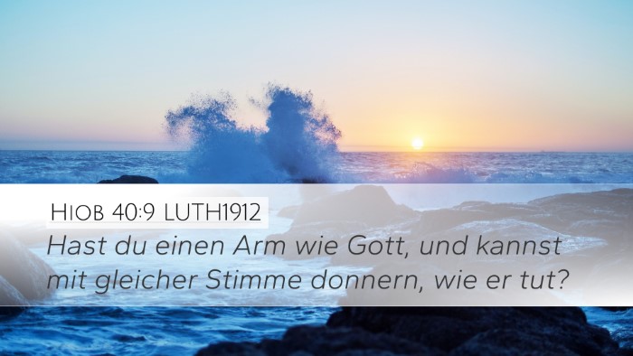 Hiob 40:9 LUTH1912 Bible Verse Image