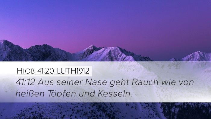 Hiob 41:20 LUTH1912 Bible Verse Image