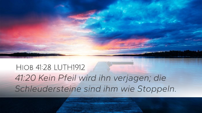 Hiob 41:28 LUTH1912 Bible Verse Image