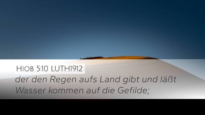 Hiob 5:10 LUTH1912 Bible Verse Image