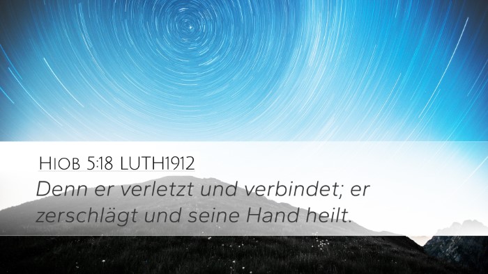 Hiob 5:18 LUTH1912 Bible Verse Image