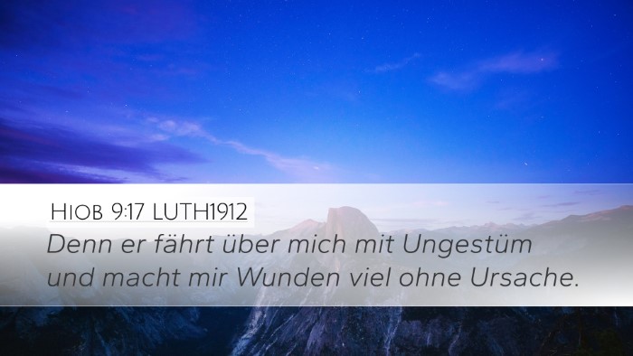 Hiob 9:17 LUTH1912 Bible Verse Image