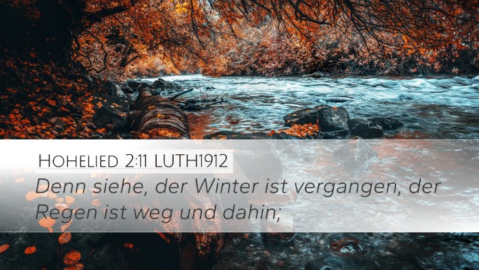 Hohelied 2:11 LUTH1912 Desktop Wallpaper - Denn siehe, der Winter ist vergangen, der Regen - Desktop Bible Verse Wallpaper