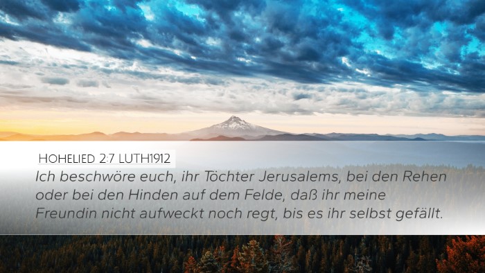 Hohelied 2:7 LUTH1912 Bible Verse Image