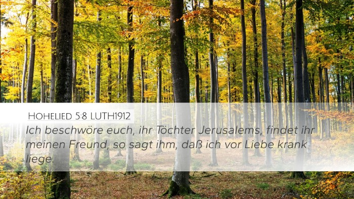 Hohelied 5:8 LUTH1912 Bible Verse Image