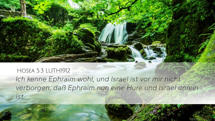 Hosea 5:3 LUTH1912 Bible Verse Image