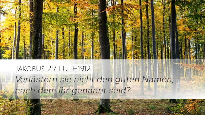 Jakobus 2:7 LUTH1912 Bible Verse Image