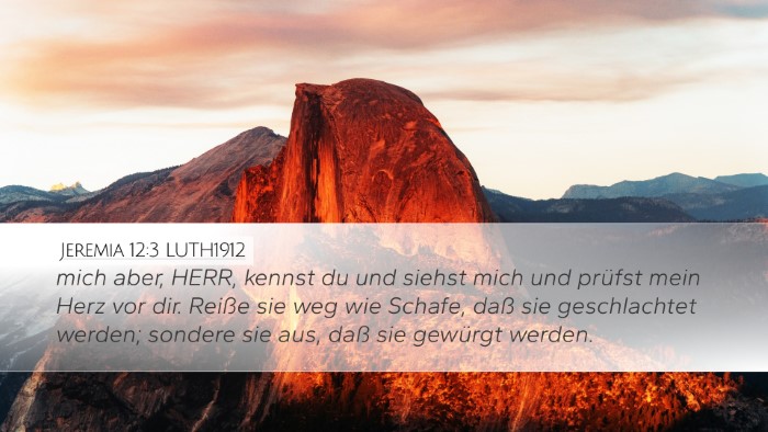 Jeremia 12:3 LUTH1912 Bible Verse Image