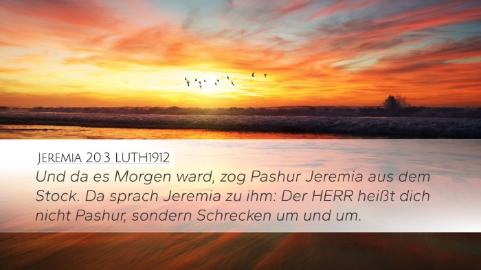 Jeremia 20:3 LUTH1912 Bible Verse Image