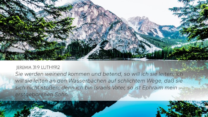 Jeremia 31:9 LUTH1912 Bible Verse Image