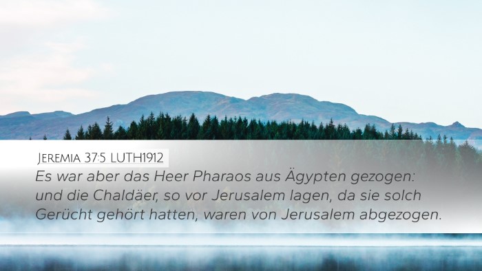 Jeremia 37:5 LUTH1912 Desktop Wallpaper - Es war aber das Heer Pharaos aus Ägypten - Desktop Bible Verse Wallpaper
