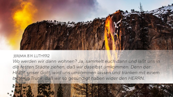 Jeremia 8:14 LUTH1912 Bible Verse Image
